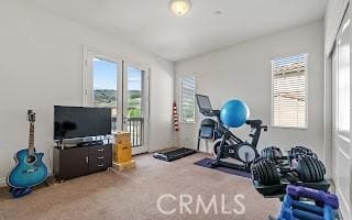 workout room with carpet