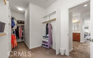 view of spacious closet