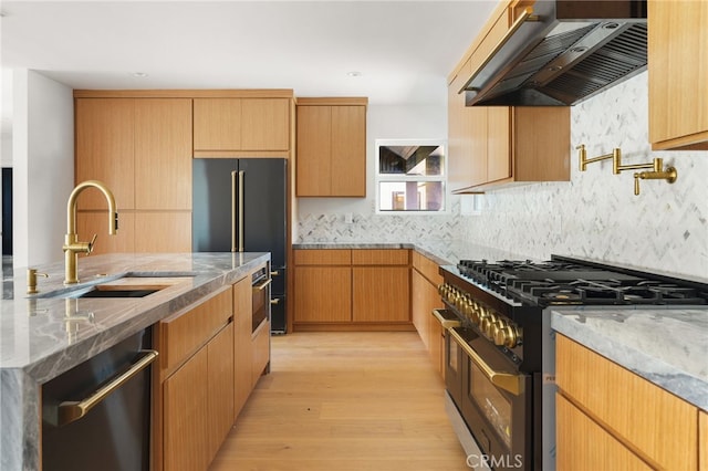 kitchen with high quality appliances, light stone counters, light wood-style floors, exhaust hood, and a sink