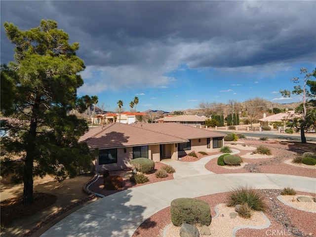 view of front of property with stucco siding, driveway, and a tile roof