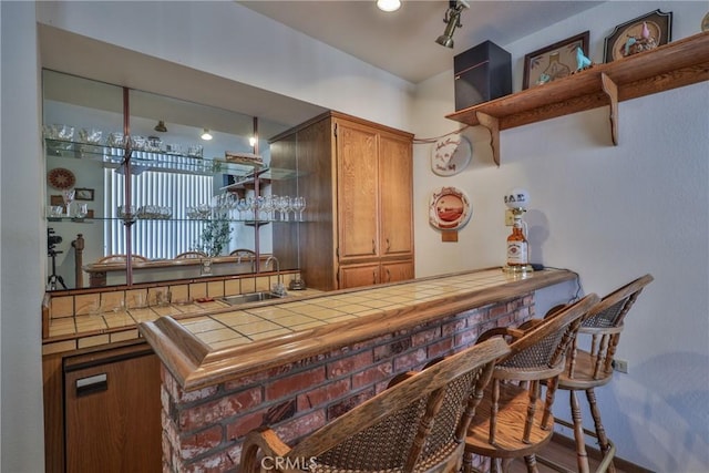 bar featuring indoor wet bar and a sink