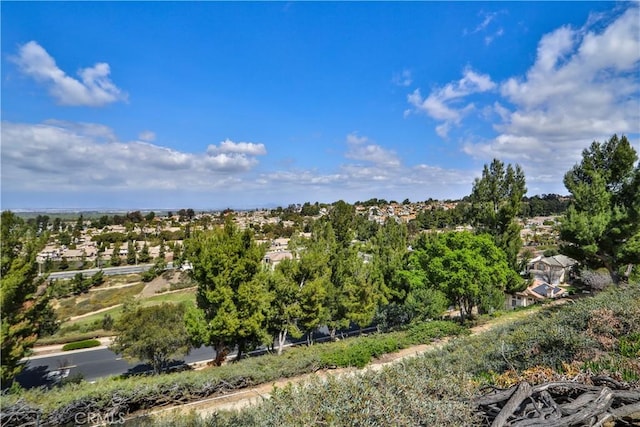 1412 San Clemente Cir, Corona, CA 92882 - drone / aerial view