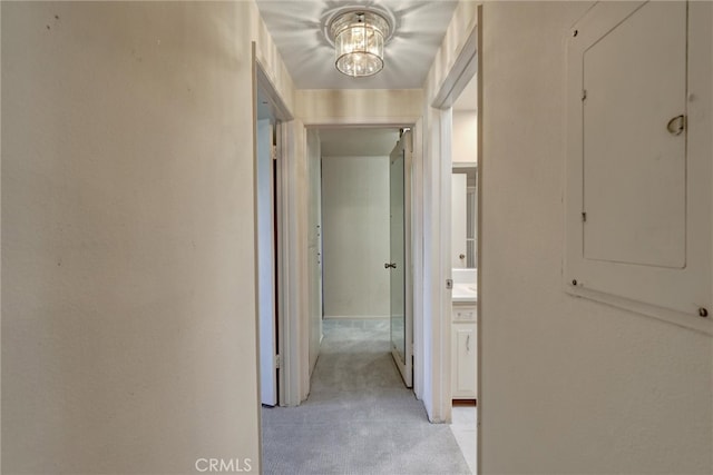 hall with electric panel and light colored carpet