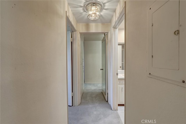 hall featuring light carpet and electric panel
