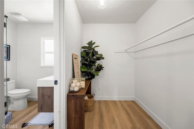 spacious closet featuring wood finished floors