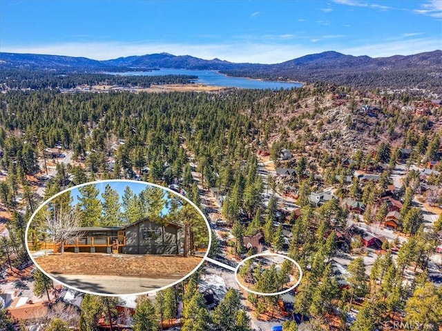 birds eye view of property with a forest view and a water and mountain view