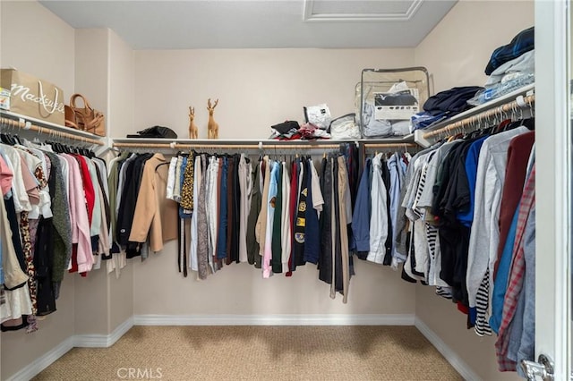 walk in closet featuring attic access and carpet flooring