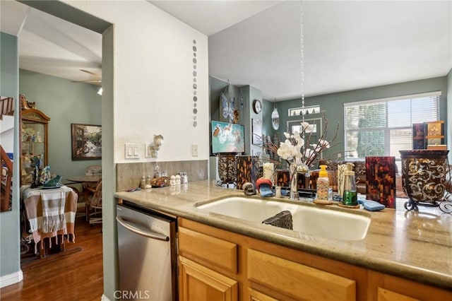 kitchen featuring a sink, dark wood-type flooring, and stainless steel dishwasher