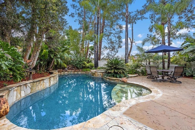 view of swimming pool with a patio and a pool with connected hot tub