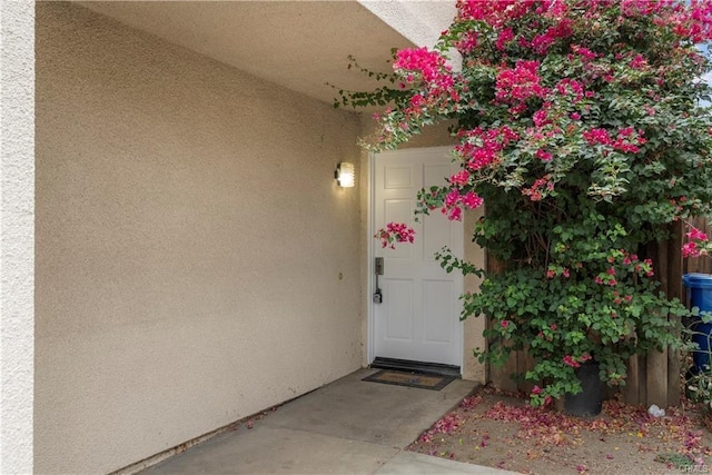 property entrance featuring stucco siding