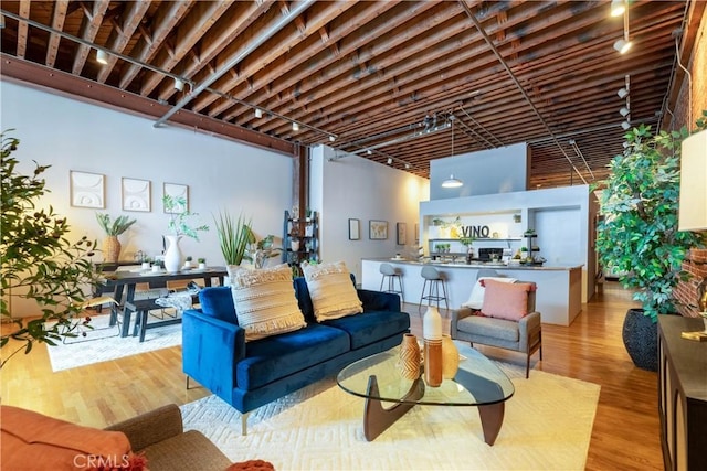 living area featuring wood finished floors