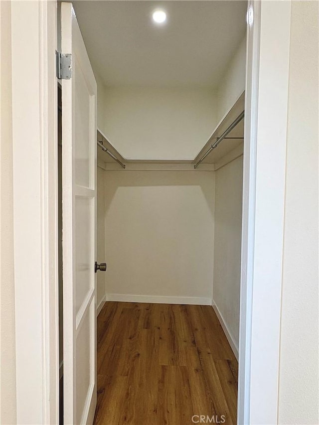 walk in closet featuring wood finished floors