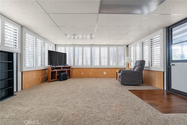 living area with plenty of natural light, wooden walls, and carpet floors