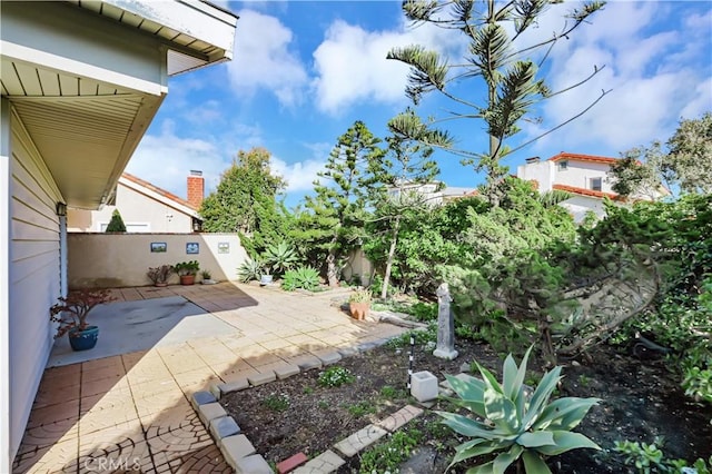 view of yard featuring a patio and a fenced backyard