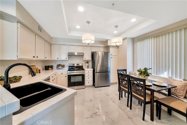 kitchen featuring a tray ceiling, stainless steel appliances, under cabinet range hood, and a sink