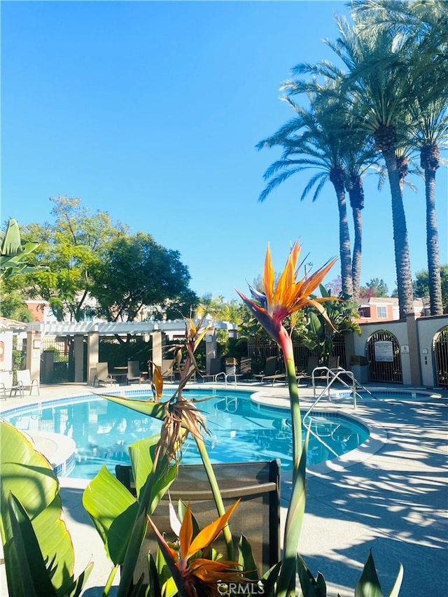 pool featuring a patio area and fence