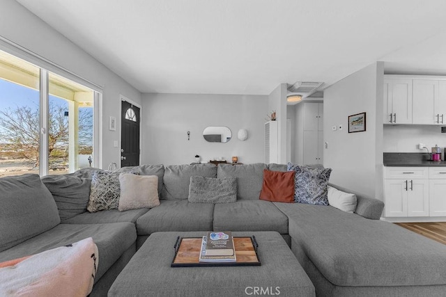 living room featuring wood finished floors