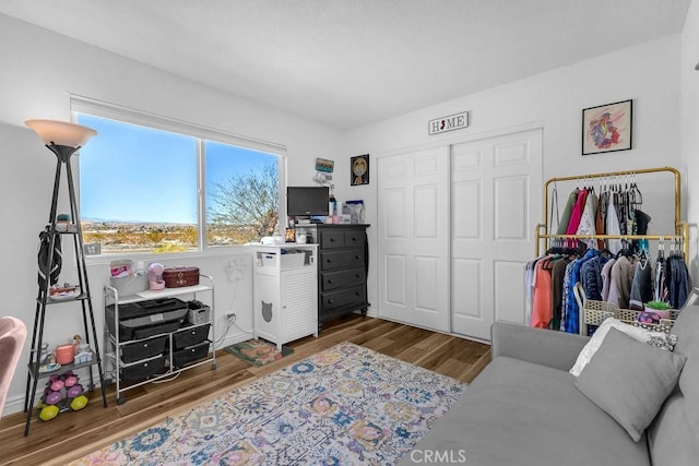 interior space with wood finished floors and a closet