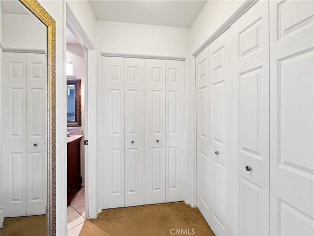 interior space with light colored carpet