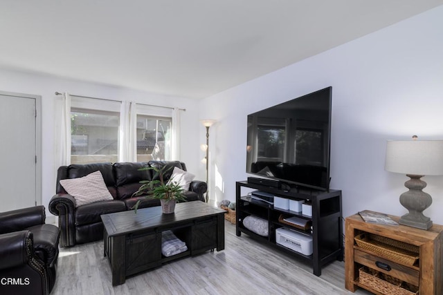 living room featuring light wood-style floors