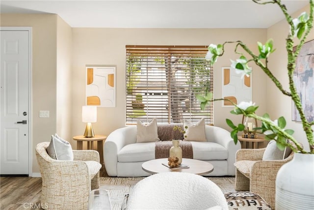 living area featuring wood finished floors