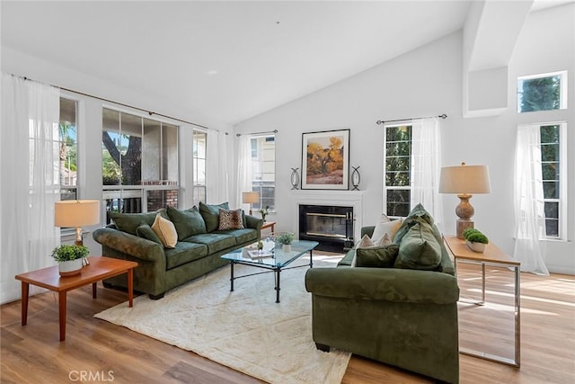 living area featuring wood finished floors, a healthy amount of sunlight, and a glass covered fireplace