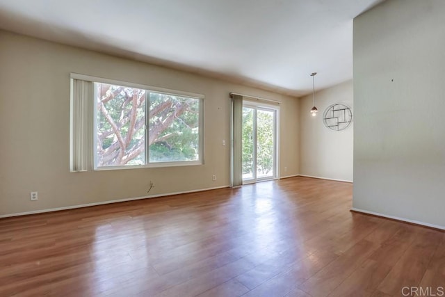 empty room featuring wood finished floors