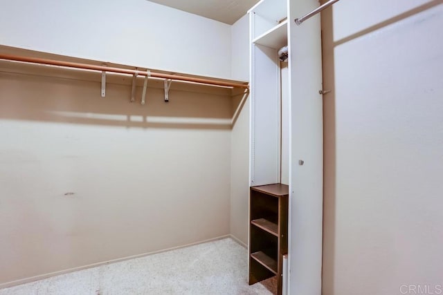 spacious closet featuring carpet