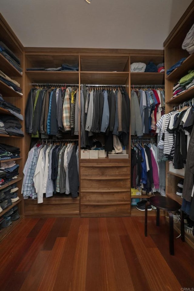 spacious closet featuring wood finished floors