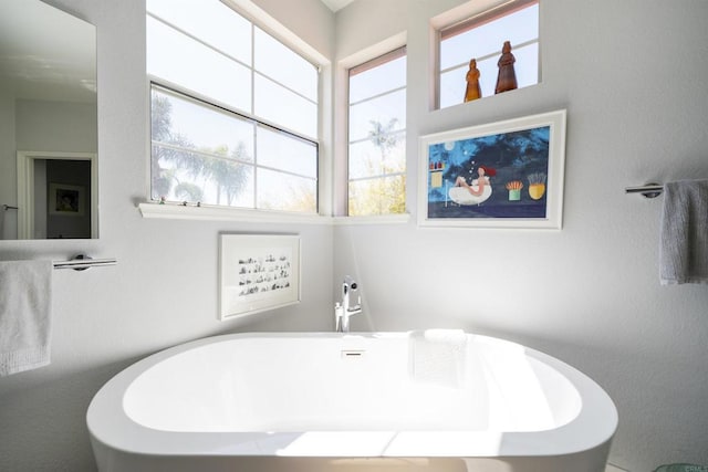 bathroom with a freestanding tub