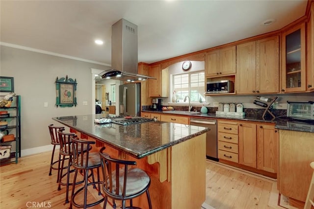 kitchen with light wood finished floors, ornamental molding, appliances with stainless steel finishes, island exhaust hood, and a kitchen breakfast bar