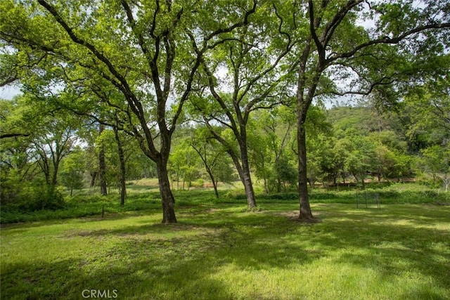 view of local wilderness