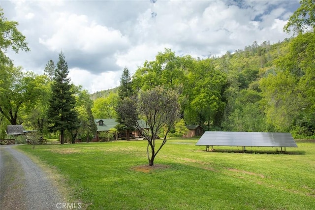 view of property's community with a yard