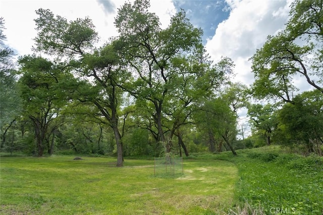 view of local wilderness