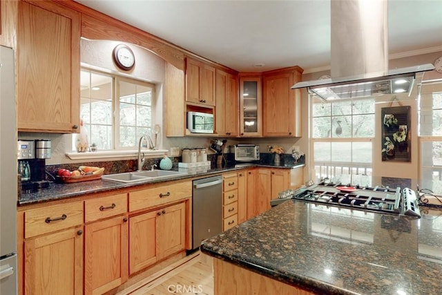 kitchen with glass insert cabinets, crown molding, appliances with stainless steel finishes, island range hood, and a sink