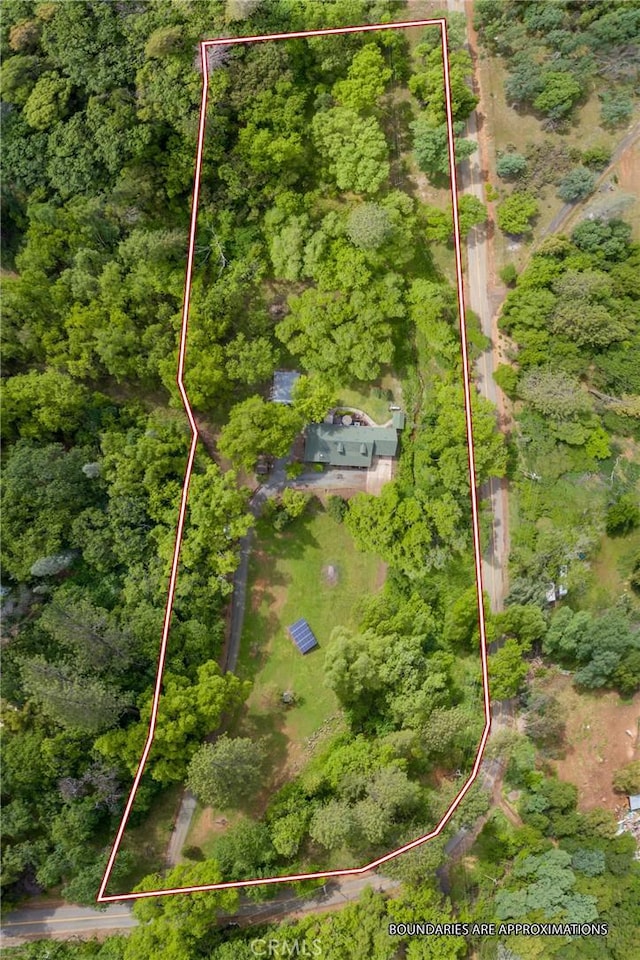 aerial view featuring a forest view