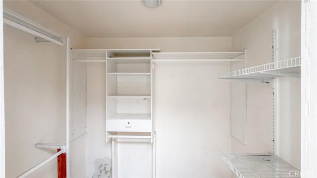 view of walk in closet