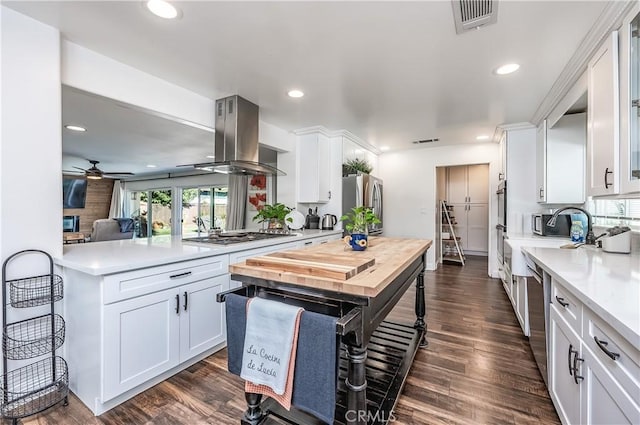 kitchen featuring dark wood-style floors, visible vents, island exhaust hood, white cabinets, and appliances with stainless steel finishes