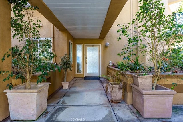 entrance to property with a patio area and stucco siding