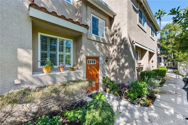 doorway to property featuring stucco siding