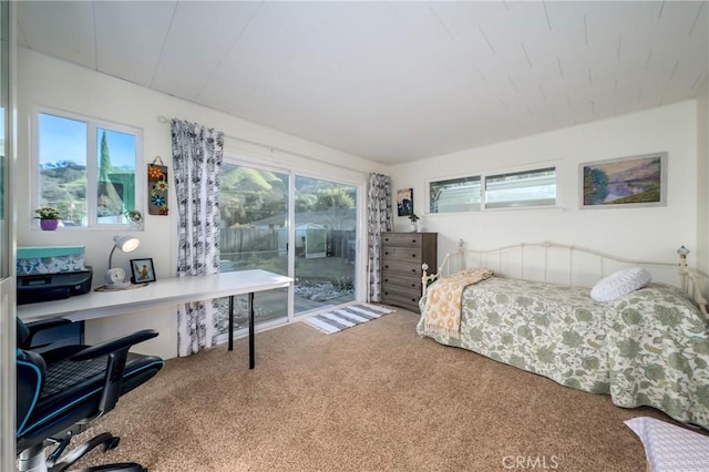 bedroom with access to exterior, multiple windows, and carpet