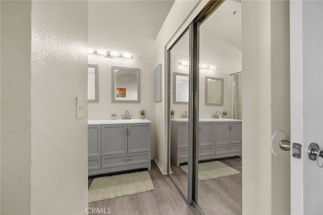 full bath featuring two vanities, wood finished floors, and a sink