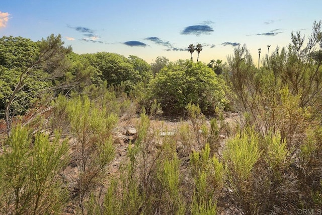 view of nature