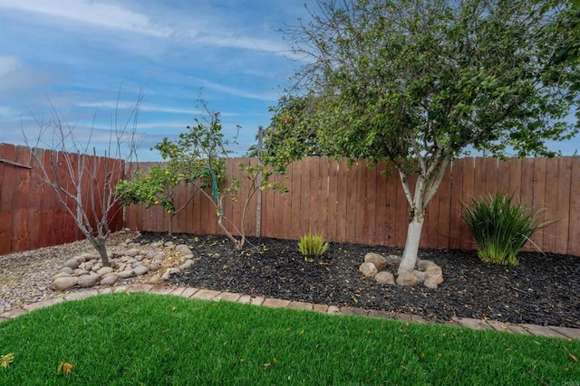 view of yard with a fenced backyard