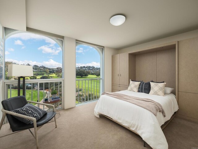 carpeted bedroom with a wall of windows