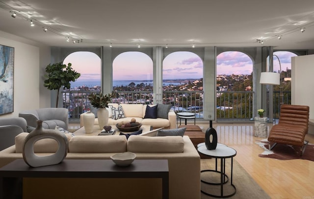 living room featuring expansive windows and wood finished floors