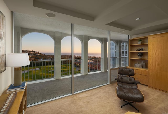 sitting room with carpet flooring, a healthy amount of sunlight, and a tray ceiling