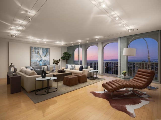 living room featuring hardwood / wood-style floors and rail lighting