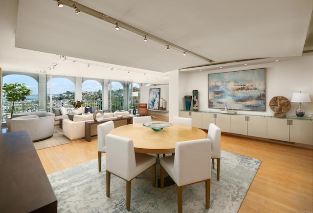 1001 Genter St Unit 9Ab, La Jolla, CA 92037 - dining area featuring rail lighting and light wood-style flooring