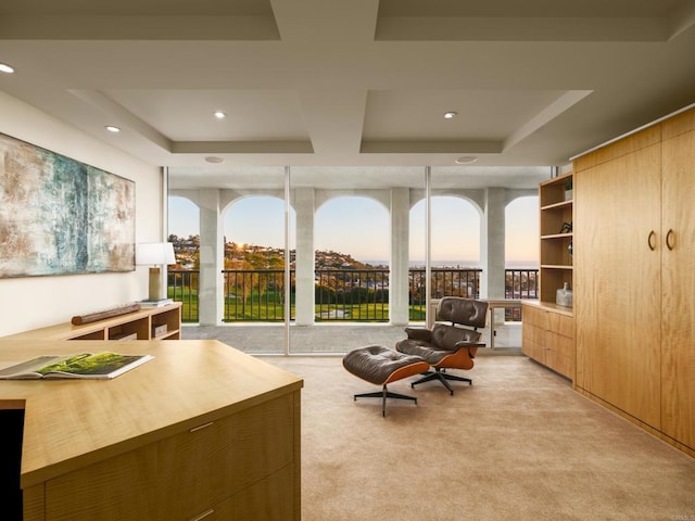 1001 Genter St Unit 9Ab, La Jolla, CA 92037 - office space with a raised ceiling, light colored carpet, plenty of natural light, and recessed lighting